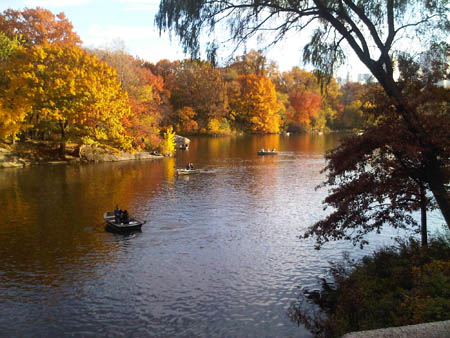 IMG00092-20101114-1514_450